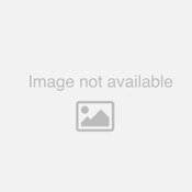 Mineral Wool Fire Safing-80 SF